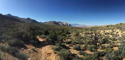 Landscape on east side of Dead Horse Trail.