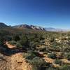 Landscape on east side of Dead Horse Trail.