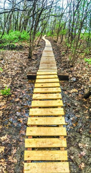 A 160-foot long ladder bridge meanders through the woods.