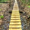 A 160-foot long ladder bridge meanders through the woods.