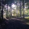 Perkiomen Trail north of Rt 113.