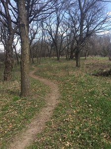 Flowing singletrack through at Whiterock Conservancy around the campground.