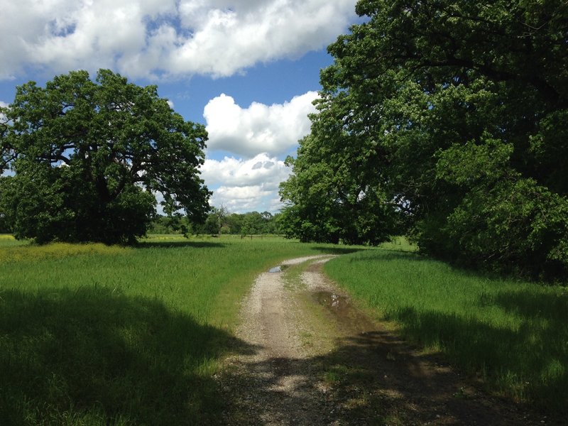 Greenbelt Trail in April.