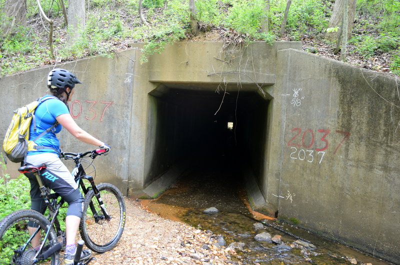 Tunnel Under I-95.