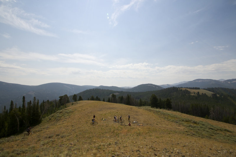 Top of Twelvemile Meadow Trail and a view of the Lemhi Mountain Range.