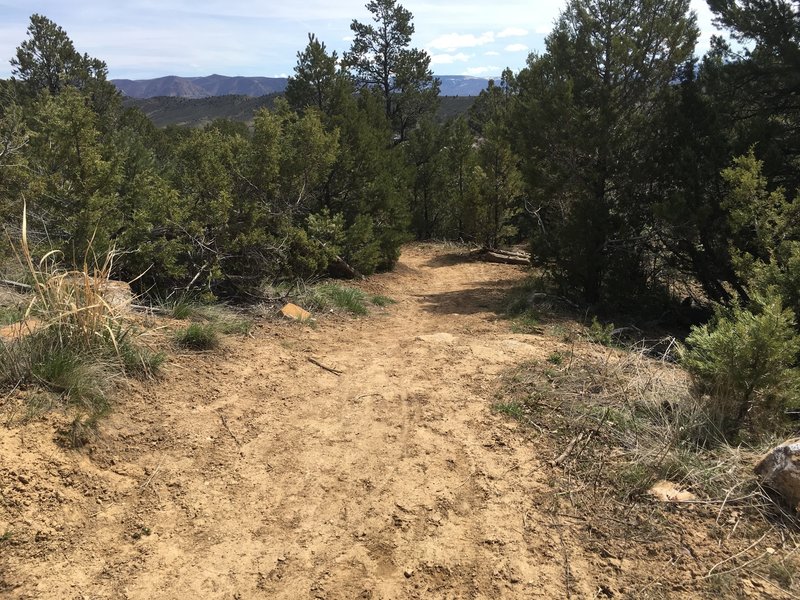 Pinyon Traill is nice singletrack for families and beginners.
