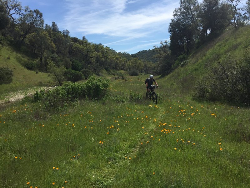 Riding up Pacheco Creek Trail.