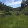 Riding up Pacheco Creek Trail.