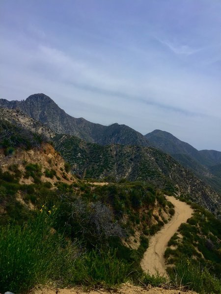 Looking back, half-way up the switchbacks on Josephine Saddle Fire road.