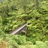 The famous Bridge To Nowhere in the Mangapurua Valley.