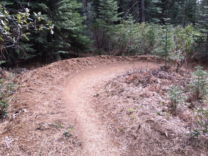 One of the many hairpin berms on the Pig Farm Trail.