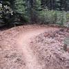 One of the many hairpin berms on the Pig Farm Trail.