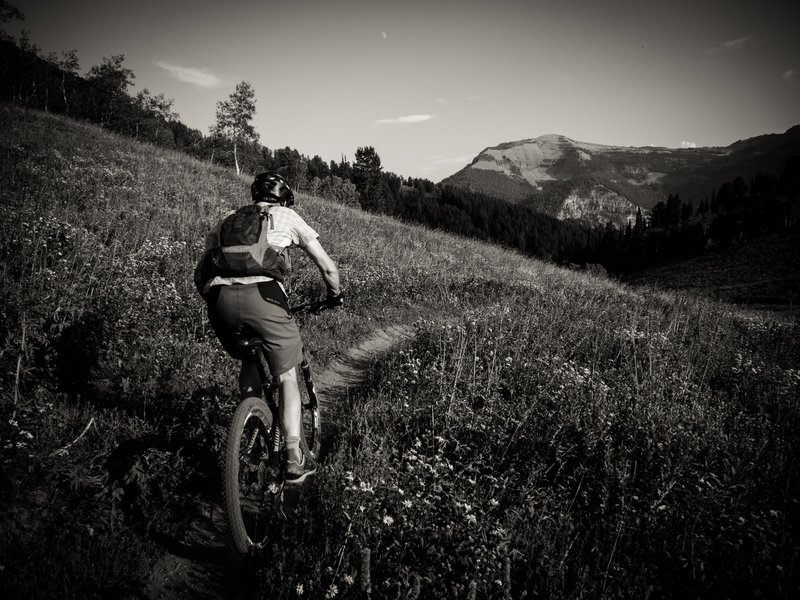 Ripping down Colter's Escape at Grand Targhee Resort. Rider: Beach Huntsman.  Photo: Dana Ramos - Instagram: @dnasince1979