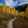 Flowy singletrack on Action Jackson through aspen groves in the fall at Grand Targhee Resort. Photo: Dana Ramos - Instagram: @dnasince1979