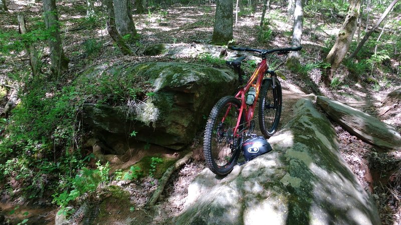 Trail runs along the tops of big rocks.