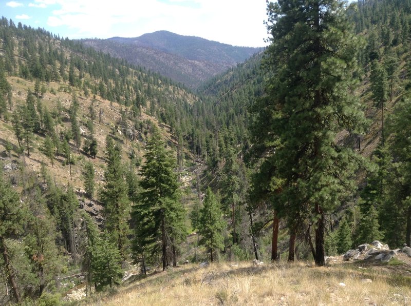 Facing south from the trail along the descent.