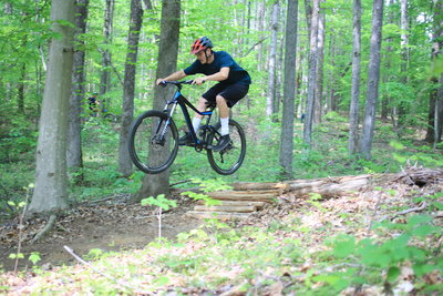 Over logs and trees.