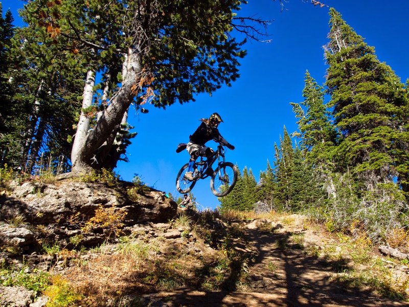 Rider Kenneth Heidenreich rolling off Buffalo Drop at the Grand Targhee Bike Park in Alta, WY.
<br>
Photo: Dana Ramos