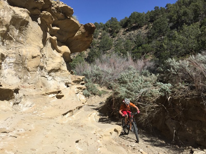 Riding through this sandy wash is beautiful and kinda fun.