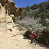 Riding through this sandy wash is beautiful and kinda fun.