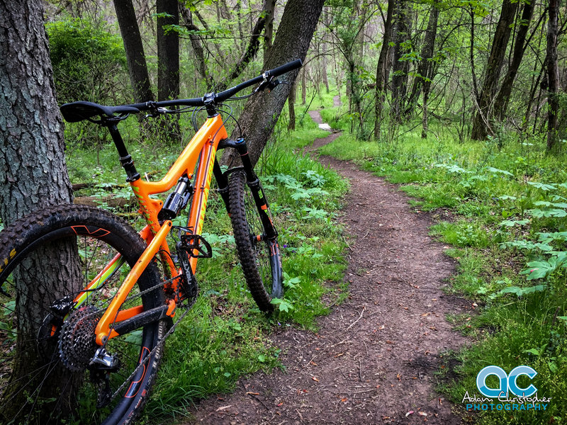 Hemlocks Trail.