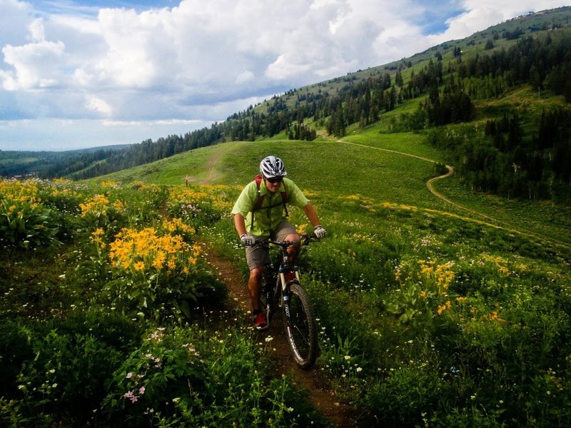 Rider Chris Davis pedals up Andy's trail towards Buffalo Soldier at Grand Targhee Resort in Alta, WY. 
<br>
Photo: Dana Ramos - Instagram: @dnasince1979