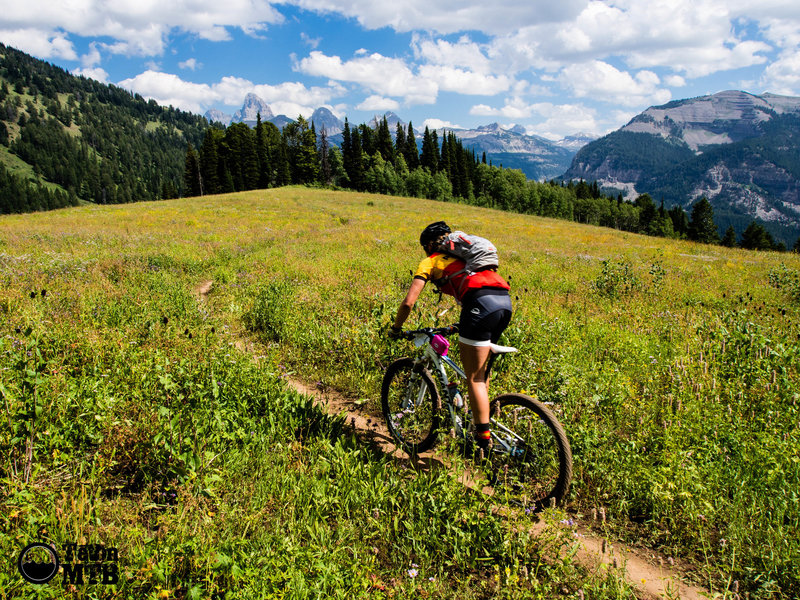 Unknown rider heading into the Tetons on the Buffalo Soldier trail at Grand Targhee Resort during the 2014 Pierre's Hole 50/100 Mile Race.
<br>
Photo: Dana Ramos - Instagram: @dnasince1979