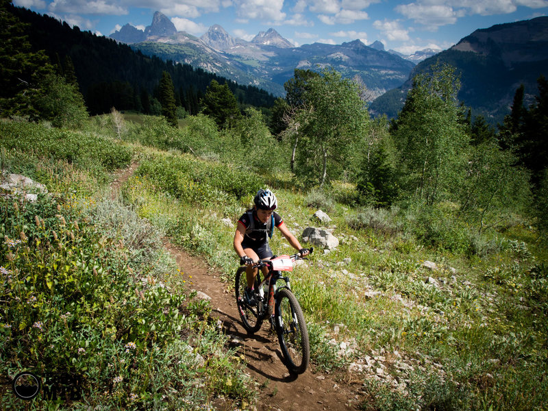 Unknown rider on the Buffalo Soldier trail during the 2014 Pierre's Hole 50/100 Mile Race at Grand Targhee Resort in Alta, WY.
<br>
Photo: Dana Ramos - Instagram: @dnasince1979