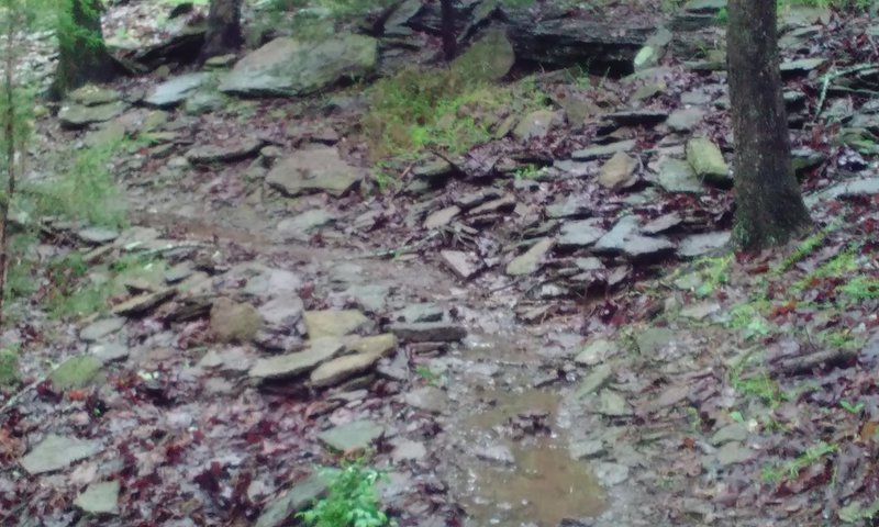 Nice little rock wash on Lakeview Trail.