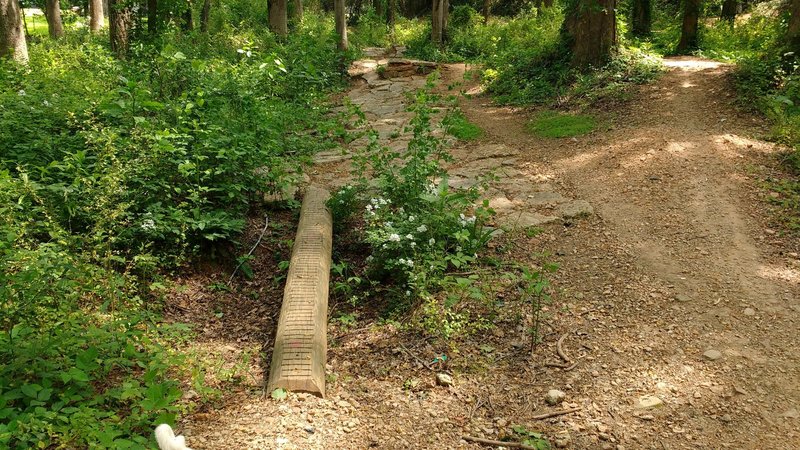 Log skinny into rock garden.