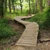 Winding boardwalk feature on the intermediate line.