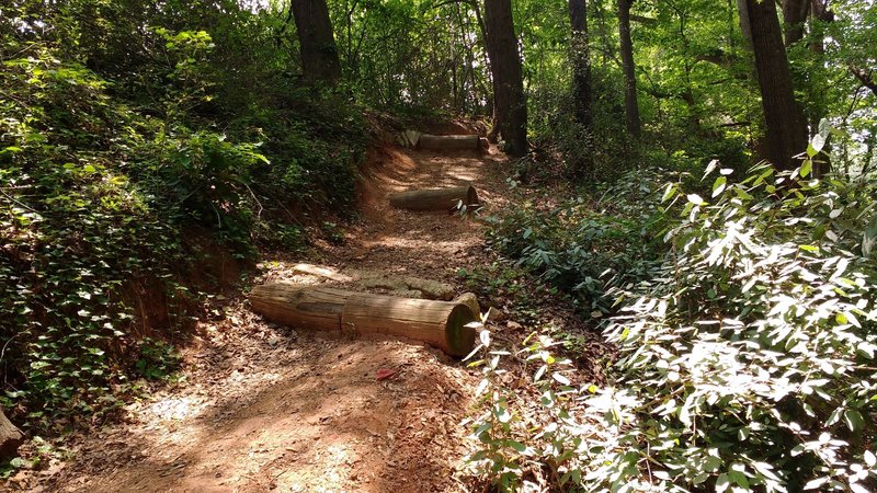 Large log waterbar drops.