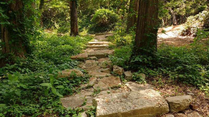 Difficult rock garden.