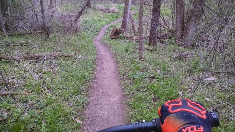 Back Section - Potawatomi Trail.