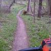 Back Section - Potawatomi Trail.