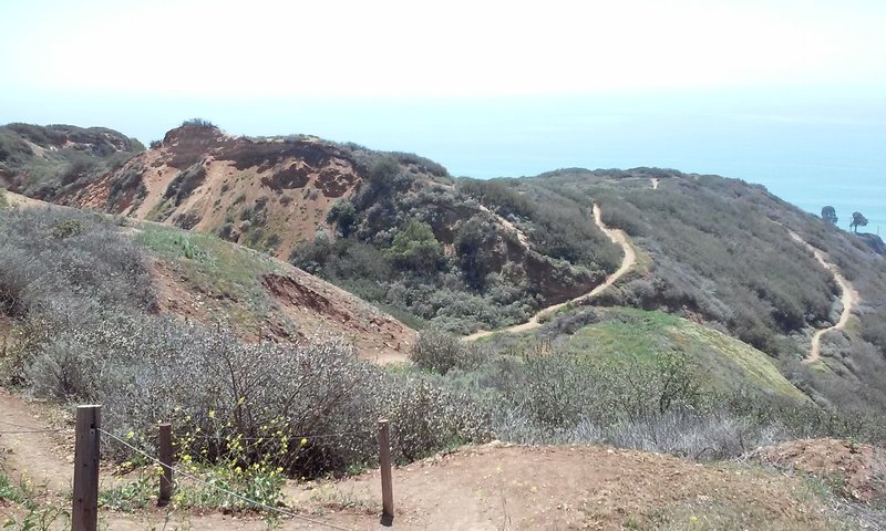 View from the Flying Mane Trail, looking down at where the Fossil Trail meets the Red Tail Trail. The Canyon View Trail is on the right.