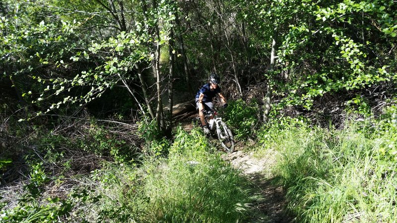 Landing off a log drop just after the bailout on Sister Elsie Trail.