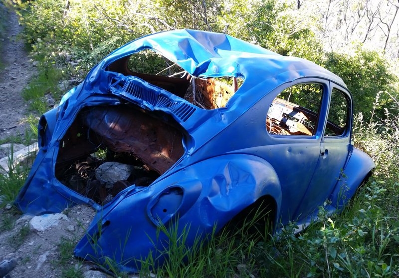 The famous blue bug that the trail is named for.