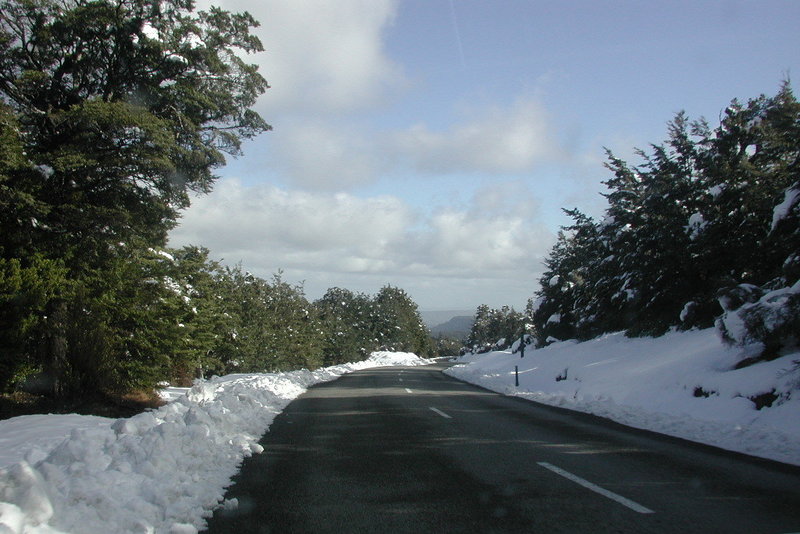 Ohakune Mountain Road in the winter.