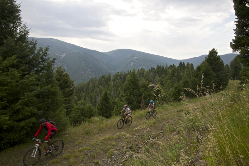 Riders headed to Lime Creek on the Goldbug Ridge Trail.