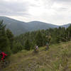 Riders headed to Lime Creek on the Goldbug Ridge Trail.