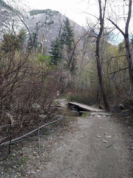 Crossing the skinnier bridge about half way up the Quarry Trail