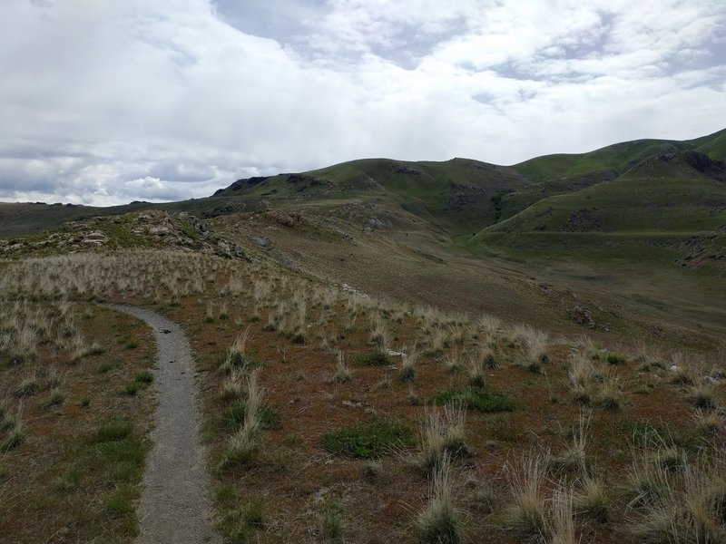 Trail heading out on Elephant Head