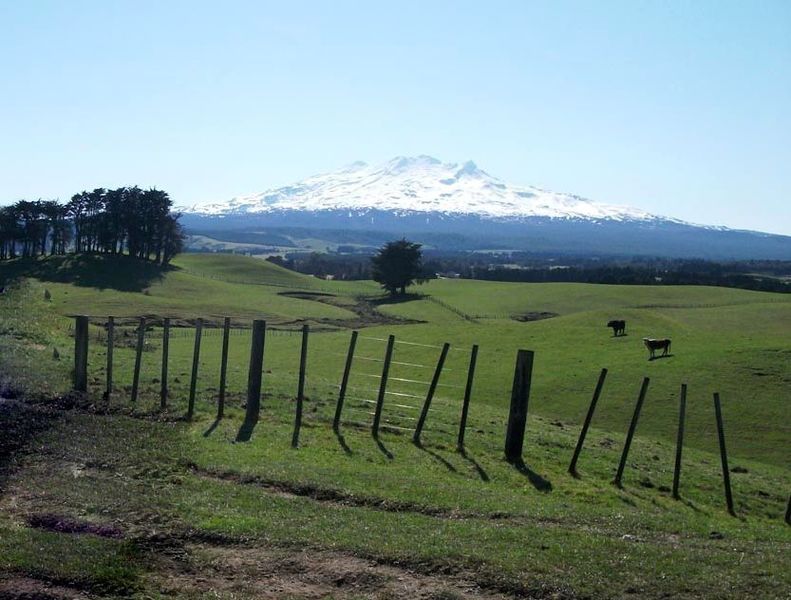 Most of Ratamaire Road gives beautiful views of Mt Ruapehu, Ohakune and surrounding farmland.