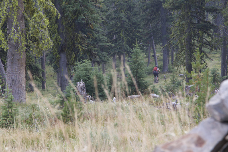 The Sasquatch Shot!  Leaving the CDT for Three Mile Ridge and a 3200' drop.