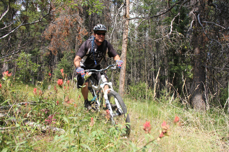 Lower along Three Mile Ridge.