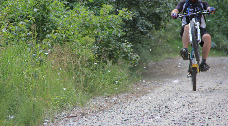 Wheelieing through 100s of butterflies!