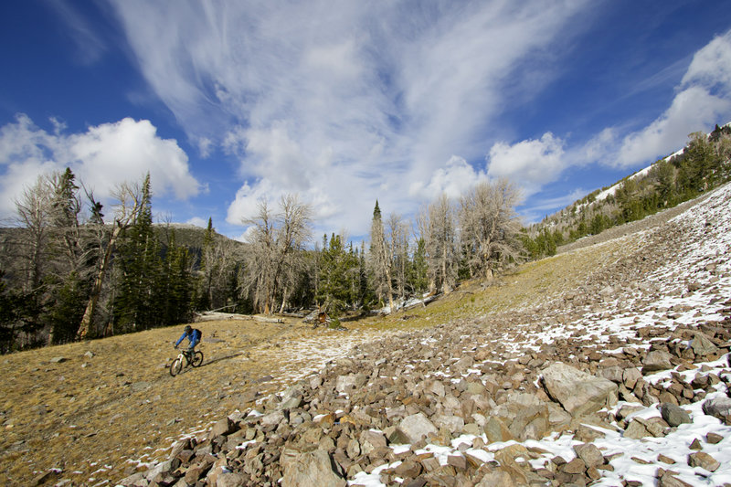 Late Fall snows along the Big Timber Creek Trail.