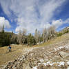 Late Fall snows along the Big Timber Creek Trail.