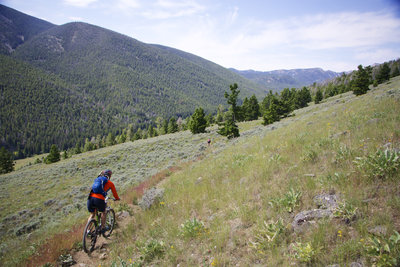 Heading toward Big Timber Creek and the core of the Lemhi Mountains.